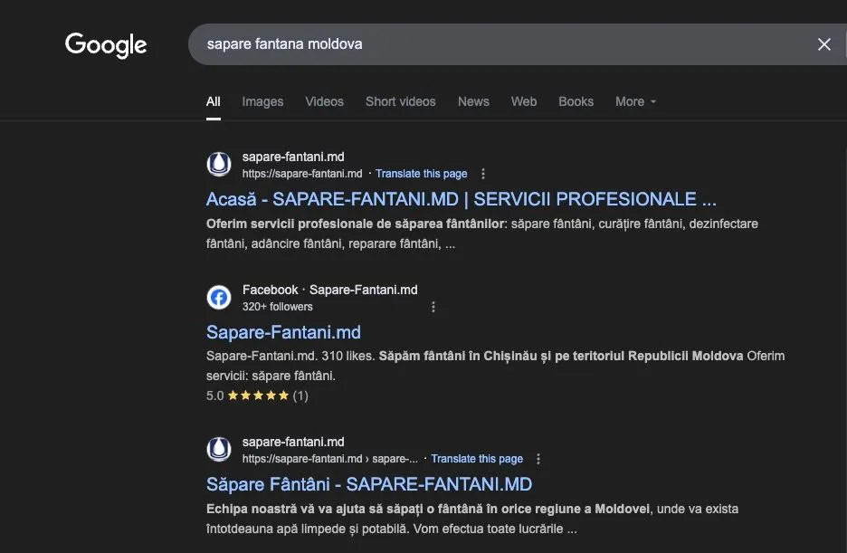 SEO Example 2