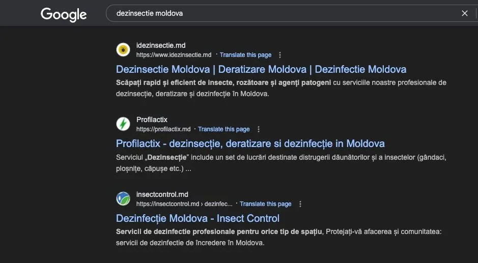 SEO Example 3